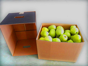Лоток яблочный по оптовым ценам  - <ro>Изображение</ro><ru>Изображение</ru> #3, <ru>Объявление</ru> #1689330