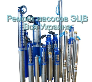 Ремонт глубинных насосов ЭЦВ. Запасные детали и узлы к насосам ЭЦВ 