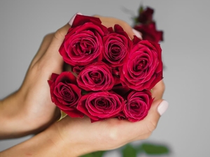 25 чарівних троянд - ідеальний квітковий презент! - <ro>Изображение</ro><ru>Изображение</ru> #1, <ru>Объявление</ru> #1744149