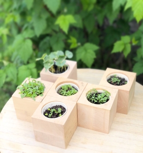 Корпоративні подарунки для IT компаній.