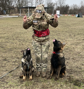 дресирування собак усіх порід 