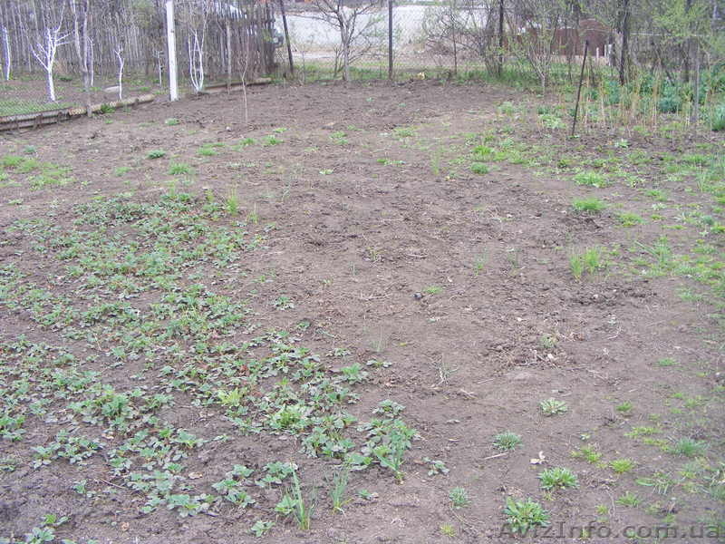 дача участок земли - <ro>Изображение</ro><ru>Изображение</ru> #3, <ru>Объявление</ru> #21360