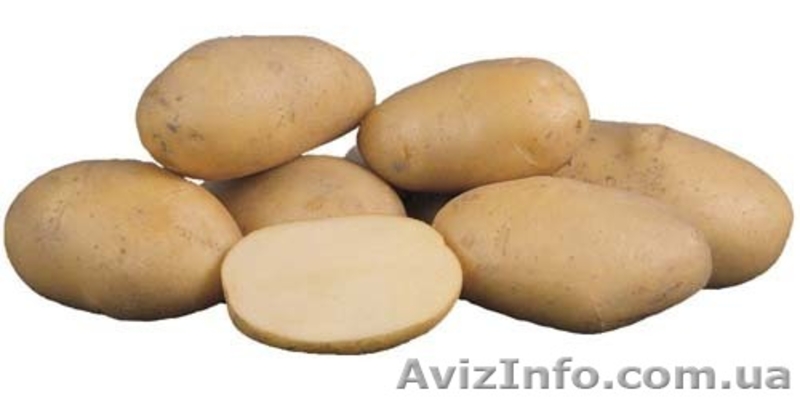 Продам картофель, свеклу,морковь. и тд. - <ro>Изображение</ro><ru>Изображение</ru> #1, <ru>Объявление</ru> #52117