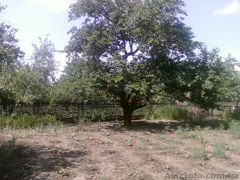 газофицированный дом,дачный участок,авто-срочно!!!! - <ro>Изображение</ro><ru>Изображение</ru> #5, <ru>Объявление</ru> #91068