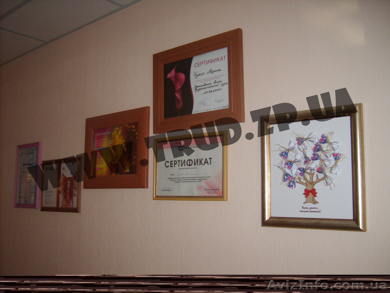 Обучающий центр "Студия красоты" - <ro>Изображение</ro><ru>Изображение</ru> #1, <ru>Объявление</ru> #36152