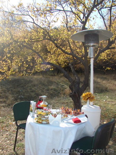 Выездное обслуживание. Кейтеринг. Организация банкетов, фуршетов. - <ro>Изображение</ro><ru>Изображение</ru> #7, <ru>Объявление</ru> #194904