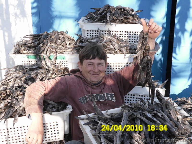 ВЯЛЕНЫЙ БЫЧОК АЗОВСКИЙ - <ro>Изображение</ro><ru>Изображение</ru> #2, <ru>Объявление</ru> #185672