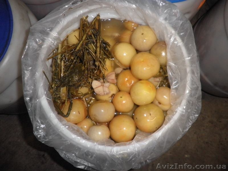 Продам помидоры маринованные в бочках оптом и мелким оптом  - <ro>Изображение</ro><ru>Изображение</ru> #1, <ru>Объявление</ru> #585263