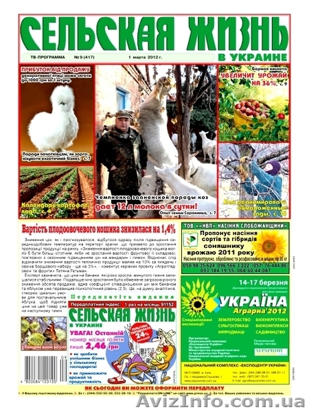 Молоко, кефир, творог, сыр из козьего молока. - <ro>Изображение</ro><ru>Изображение</ru> #3, <ru>Объявление</ru> #676097