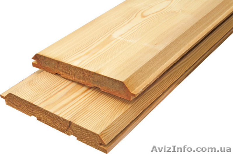 Лиственница сибирская Запорожье Украина - <ro>Изображение</ro><ru>Изображение</ru> #2, <ru>Объявление</ru> #153137