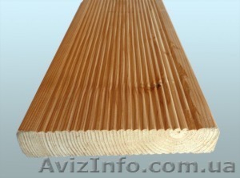 Лиственница сибирская Запорожье Украина - <ro>Изображение</ro><ru>Изображение</ru> #6, <ru>Объявление</ru> #153137