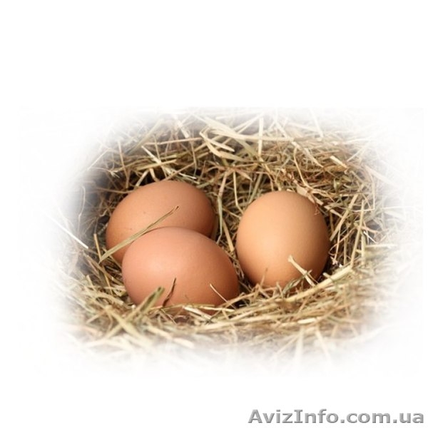 Senko-market - доставка товаров из деревни на дом!   - <ro>Изображение</ro><ru>Изображение</ru> #6, <ru>Объявление</ru> #744720