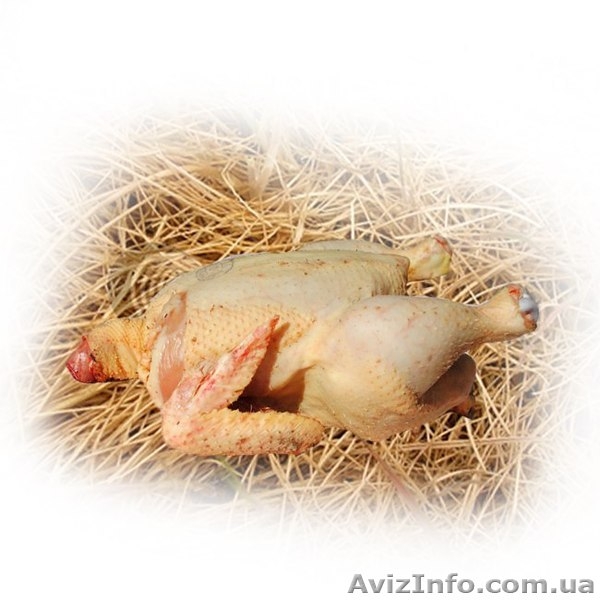 Senko-market - доставка товаров из деревни на дом!   - <ro>Изображение</ro><ru>Изображение</ru> #7, <ru>Объявление</ru> #744720