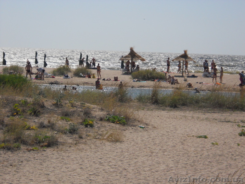 ПРОДАМ УЧАСТОК НА БЕРДЯНСКОЙ КОСЕ - <ro>Изображение</ro><ru>Изображение</ru> #4, <ru>Объявление</ru> #661030