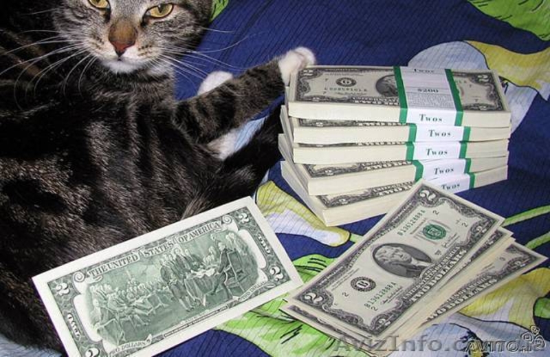 Продам банкноты номиналом в 2 доллара. Два доллара - легендарная банкнота США - <ro>Изображение</ro><ru>Изображение</ru> #3, <ru>Объявление</ru> #812340