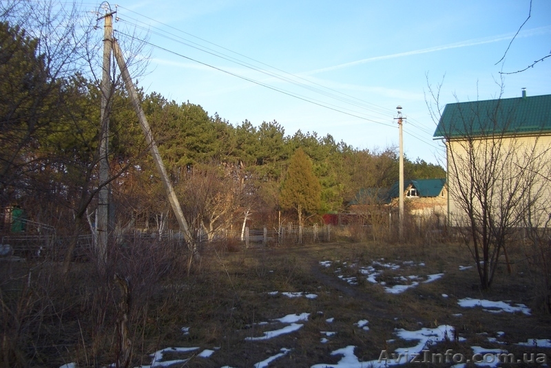 Дачный уч-к 7.2сот. на берегу Днепра в сосновом лесу. - <ro>Изображение</ro><ru>Изображение</ru> #2, <ru>Объявление</ru> #843093