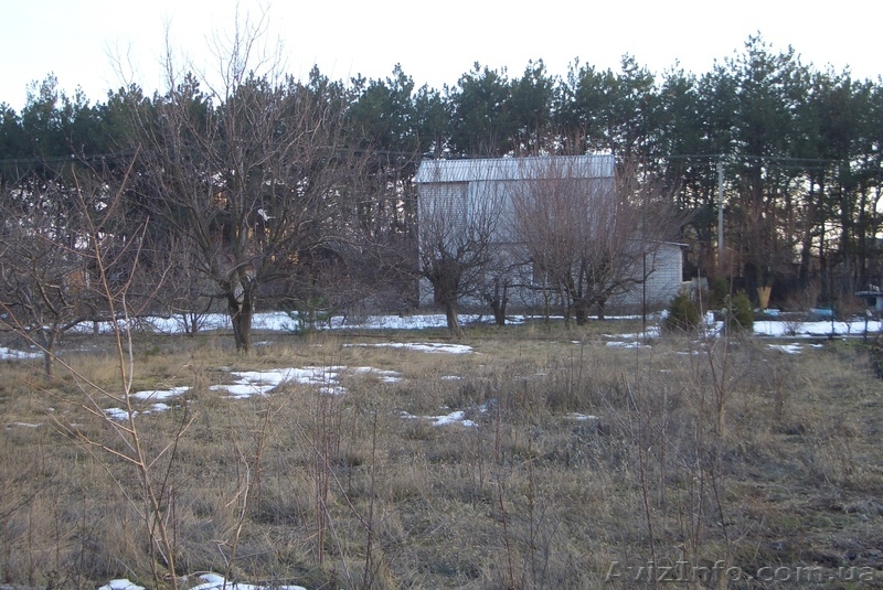 Дачный уч-к 7.2сот. на берегу Днепра в сосновом лесу. - <ro>Изображение</ro><ru>Изображение</ru> #3, <ru>Объявление</ru> #843093