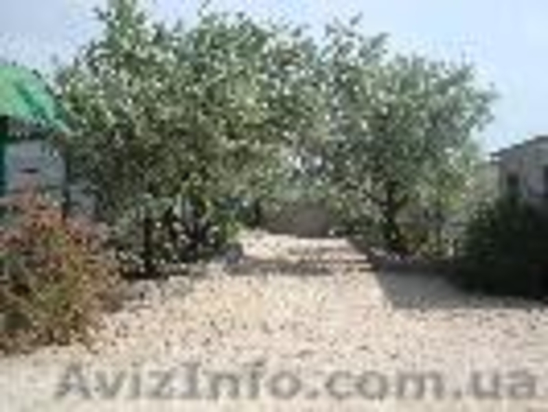 Отдых на Азовском море  (база отдыха "РИВЬЕРА") - <ro>Изображение</ro><ru>Изображение</ru> #5, <ru>Объявление</ru> #848423