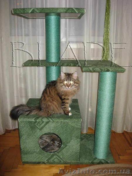 Домик для кошки (игровой комплекс на 3 этажа) - <ro>Изображение</ro><ru>Изображение</ru> #3, <ru>Объявление</ru> #861188