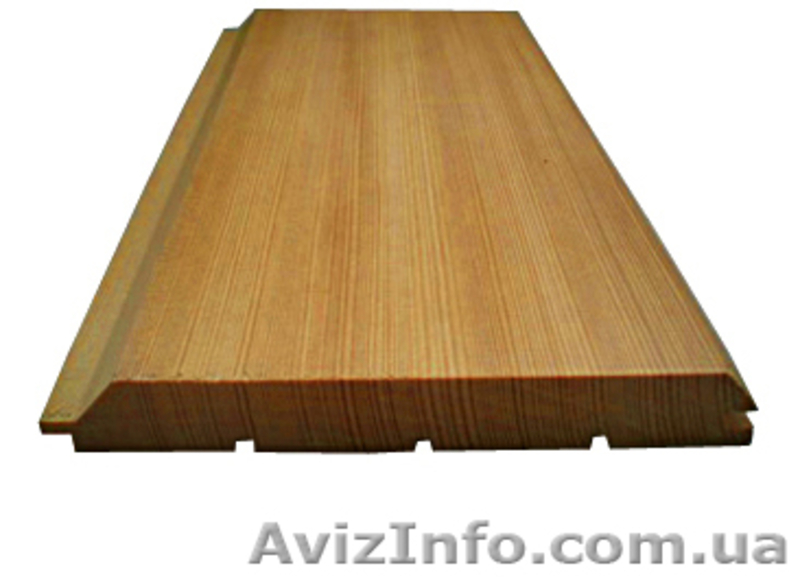 Сибирская лиственница Запорожье - <ro>Изображение</ro><ru>Изображение</ru> #5, <ru>Объявление</ru> #857905