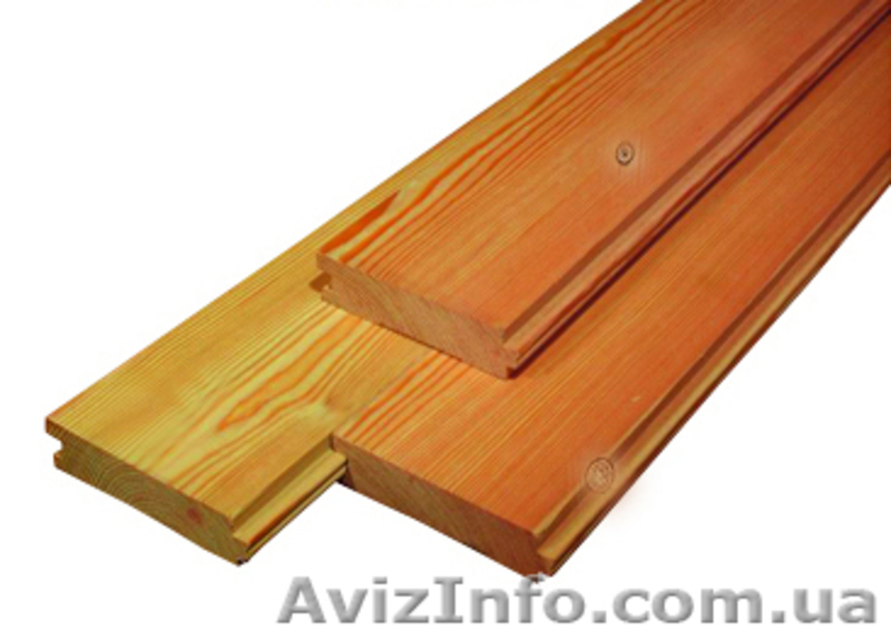 Сибирская лиственница Запорожье - <ro>Изображение</ro><ru>Изображение</ru> #4, <ru>Объявление</ru> #857905