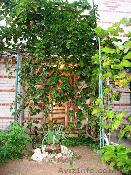 Продам дом в р-не Набережной  - <ro>Изображение</ro><ru>Изображение</ru> #10, <ru>Объявление</ru> #872704