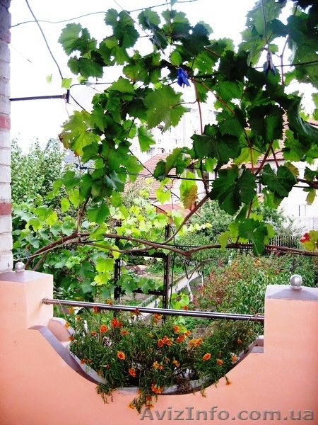 Продам дом в р-не Набережной  - <ro>Изображение</ro><ru>Изображение</ru> #9, <ru>Объявление</ru> #872704