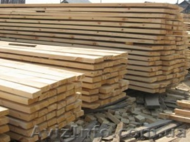 Сибирская лиственница Запорожье - <ro>Изображение</ro><ru>Изображение</ru> #6, <ru>Объявление</ru> #857905