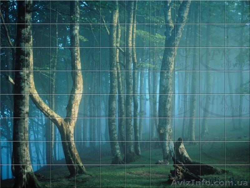 фотокерамика, панно - <ro>Изображение</ro><ru>Изображение</ru> #8, <ru>Объявление</ru> #898006
