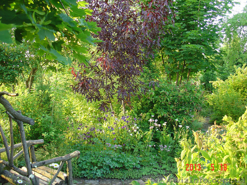 Парковый сад для посещений - <ro>Изображение</ro><ru>Изображение</ru> #3, <ru>Объявление</ru> #904358