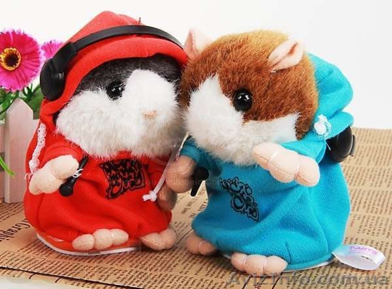 Хомяк-репер Mimi Cry DJ - повторяет слова в ритме бит - <ro>Изображение</ro><ru>Изображение</ru> #2, <ru>Объявление</ru> #936400