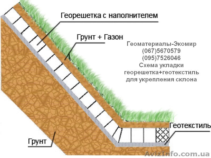 Укрепление склона георешеткой - <ro>Изображение</ro><ru>Изображение</ru> #1, <ru>Объявление</ru> #1102156