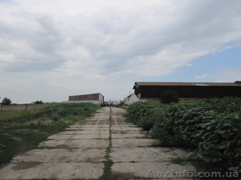 Коммерческая недвижимость на продажу - <ro>Изображение</ro><ru>Изображение</ru> #2, <ru>Объявление</ru> #1117089