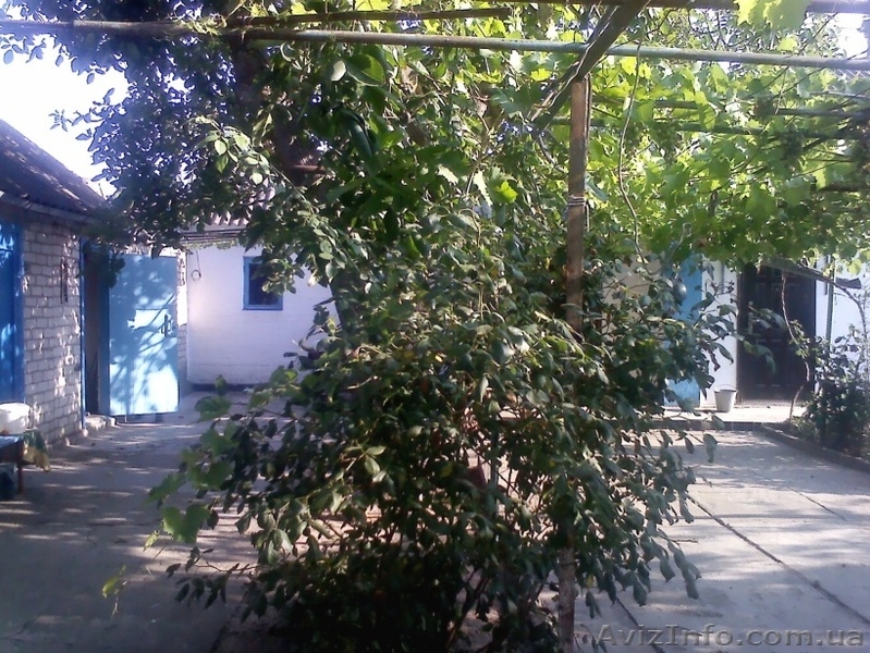 Азов. Генгорка. Виноградная 25. Отдых на море от 35 грн.  - <ro>Изображение</ro><ru>Изображение</ru> #9, <ru>Объявление</ru> #1128858