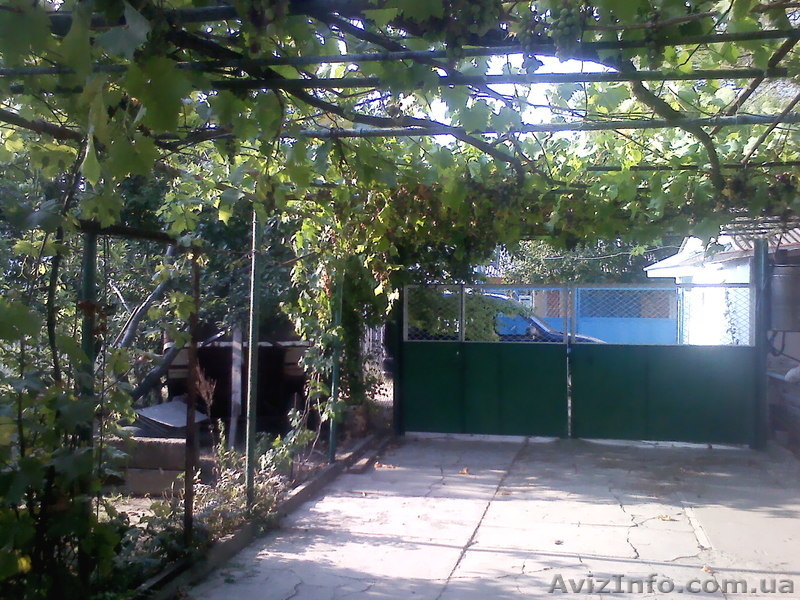 Азов. Генгорка. Виноградная 25. Отдых на море от 35 грн.  - <ro>Изображение</ro><ru>Изображение</ru> #4, <ru>Объявление</ru> #1128858