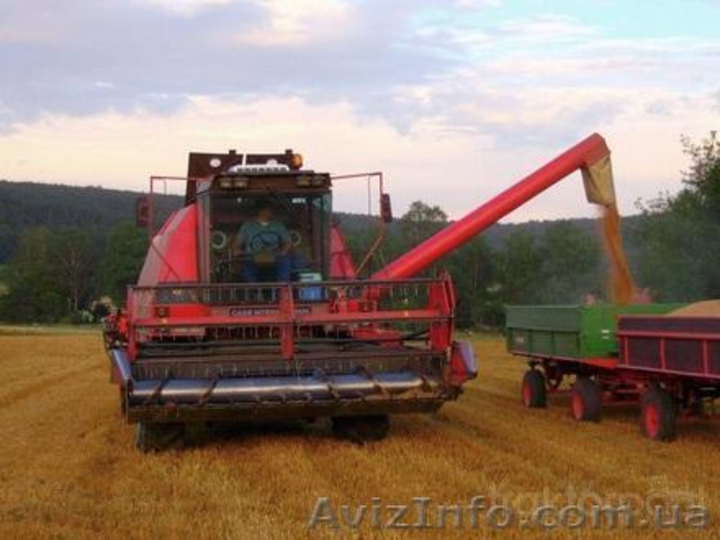 40.Компания Harvesto продает Зерноуборочный комбайн  Massey Ferguson MF 27 - <ro>Изображение</ro><ru>Изображение</ru> #2, <ru>Объявление</ru> #1151621