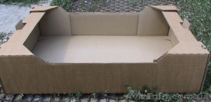 Ящик для клубники (гофро-лоток) - <ro>Изображение</ro><ru>Изображение</ru> #2, <ru>Объявление</ru> #1223055