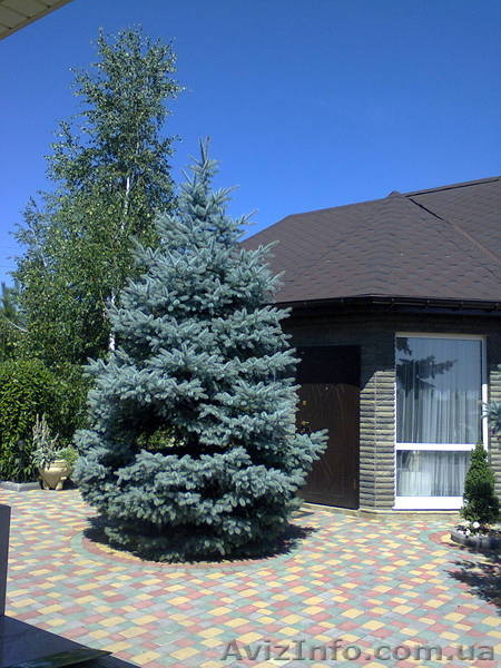 Строительство под ключ Быстро Качественно Строим - <ro>Изображение</ro><ru>Изображение</ru> #2, <ru>Объявление</ru> #1265447