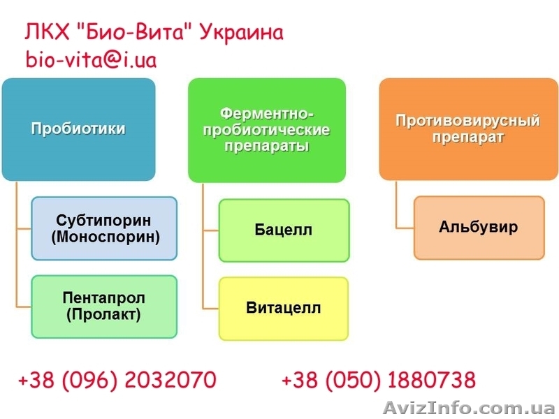 Кормовая добавка ферментно-пробиотическая "Витацелл"  - <ro>Изображение</ro><ru>Изображение</ru> #1, <ru>Объявление</ru> #1261047