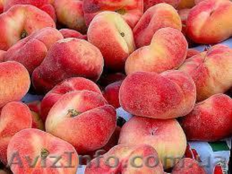 Саженцы плодовых деревьев Большой выбор соротов - <ro>Изображение</ro><ru>Изображение</ru> #1, <ru>Объявление</ru> #1172521