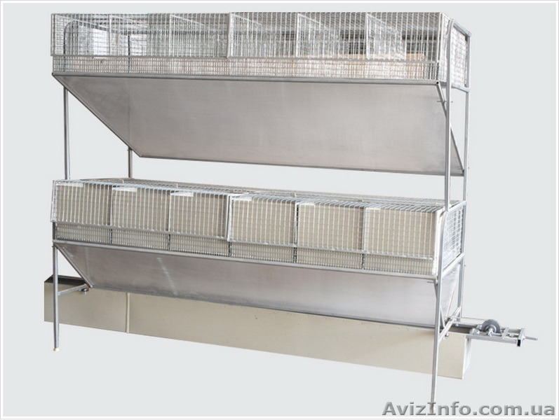 Клетки для кроликов (доставка по всей Украине) - <ro>Изображение</ro><ru>Изображение</ru> #2, <ru>Объявление</ru> #1323390