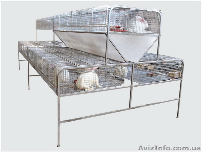 Клетки для кроликов (доставка по всей Украине) - <ro>Изображение</ro><ru>Изображение</ru> #3, <ru>Объявление</ru> #1323390