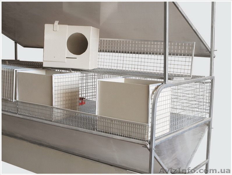 Клетки для кроликов (доставка по всей Украине) - <ro>Изображение</ro><ru>Изображение</ru> #4, <ru>Объявление</ru> #1323390