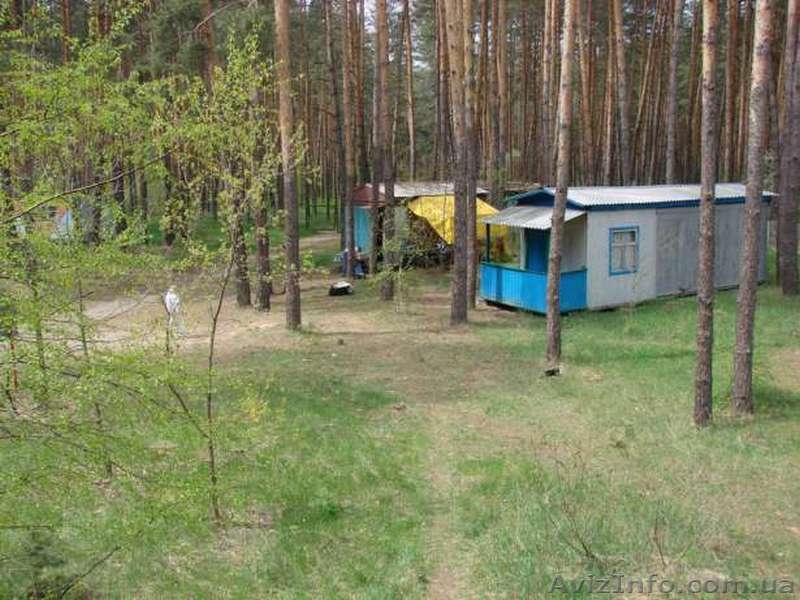 Продам базу отдыха 2Га по цене 1-комн.кв-ры, продам турбазу в сосновом бору - <ro>Изображение</ro><ru>Изображение</ru> #2, <ru>Объявление</ru> #1336619
