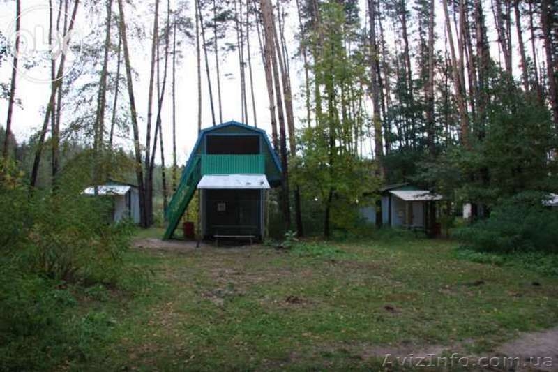Продам базу отдыха 2Га по цене 1-комн.кв-ры, продам турбазу в сосновом бору - <ro>Изображение</ro><ru>Изображение</ru> #5, <ru>Объявление</ru> #1336619