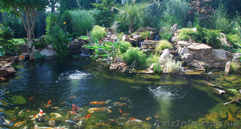 Ландшафтный дизайн, водоемы, беседки, навесы - <ro>Изображение</ro><ru>Изображение</ru> #2, <ru>Объявление</ru> #1365745