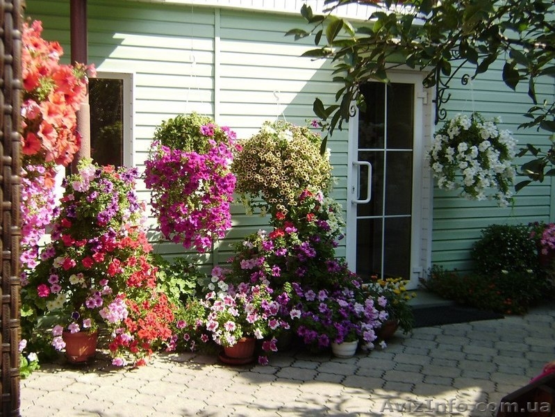 Отдых в Бердянске 2017 - <ro>Изображение</ro><ru>Изображение</ru> #6, <ru>Объявление</ru> #675740