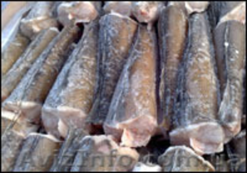 Хек замороженный - <ro>Изображение</ro><ru>Изображение</ru> #2, <ru>Объявление</ru> #1477091