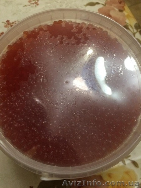  Красная икра от 550грн/кг формируем дилерскую сеть - <ro>Изображение</ro><ru>Изображение</ru> #3, <ru>Объявление</ru> #1521496