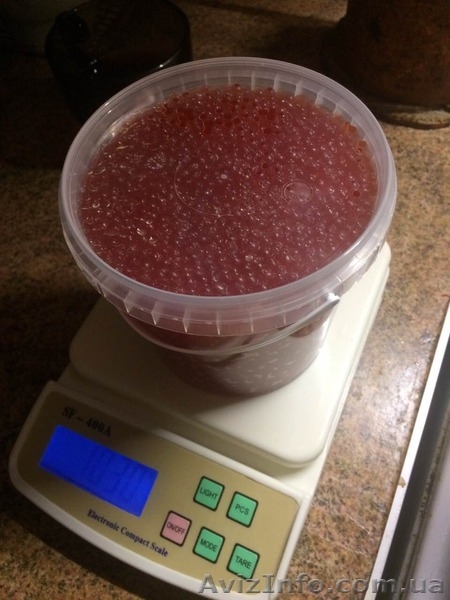  Красная икра от 550грн/кг формируем дилерскую сеть - <ro>Изображение</ro><ru>Изображение</ru> #1, <ru>Объявление</ru> #1521496